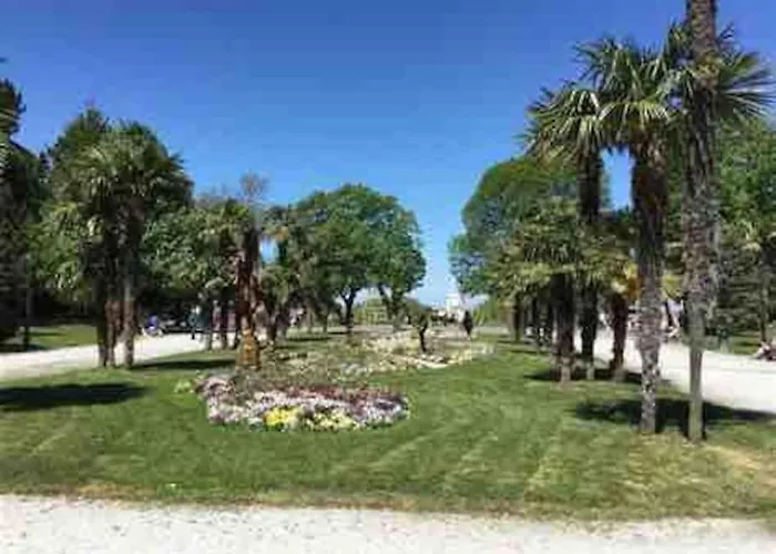 T1 Hyper Centre Au Calme Animaux Acceptes