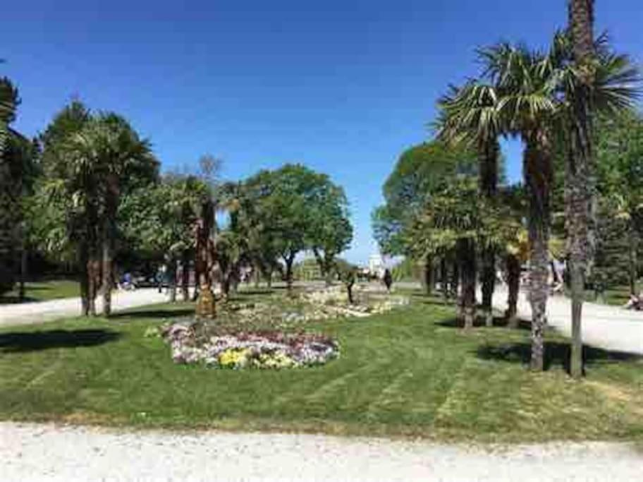 Appartement T1 Hyper Centre Au Calme Animaux Acceptes